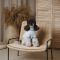 Футболка Pet Fashion Polo для собак XS