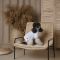 Футболка Pet Fashion Polo для собак XS