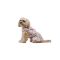Сукня Pet Fashion Amelia для собак XS2