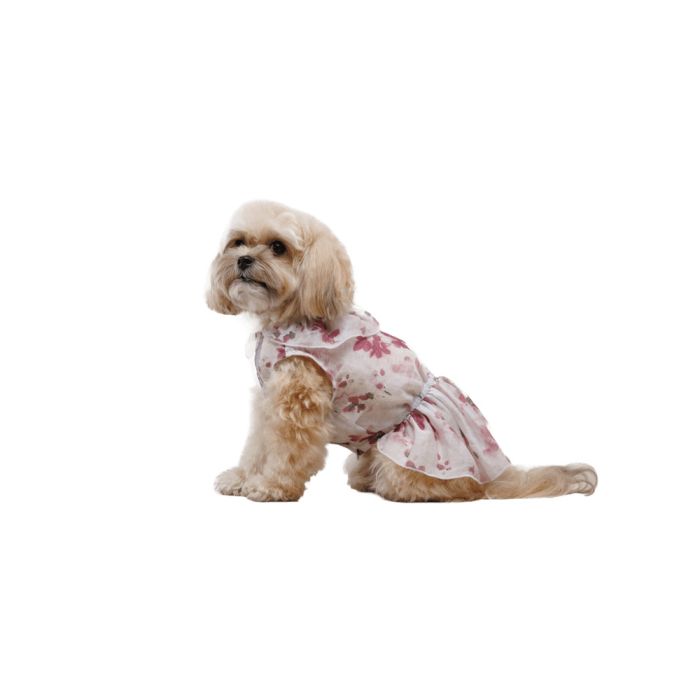Сукня Pet Fashion Amelia для собак XS2