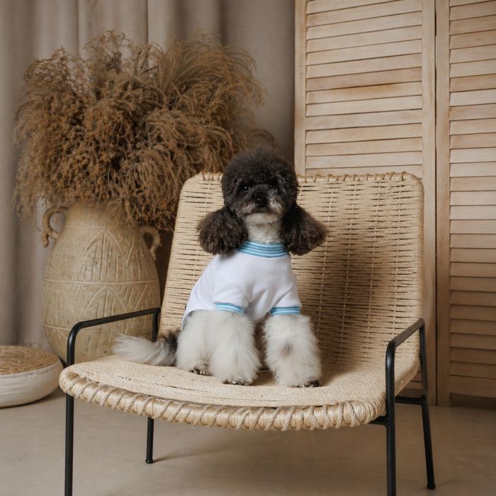 Футболка Pet Fashion Polo для собак М