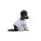 Футболка Pet Fashion Polo для собак М