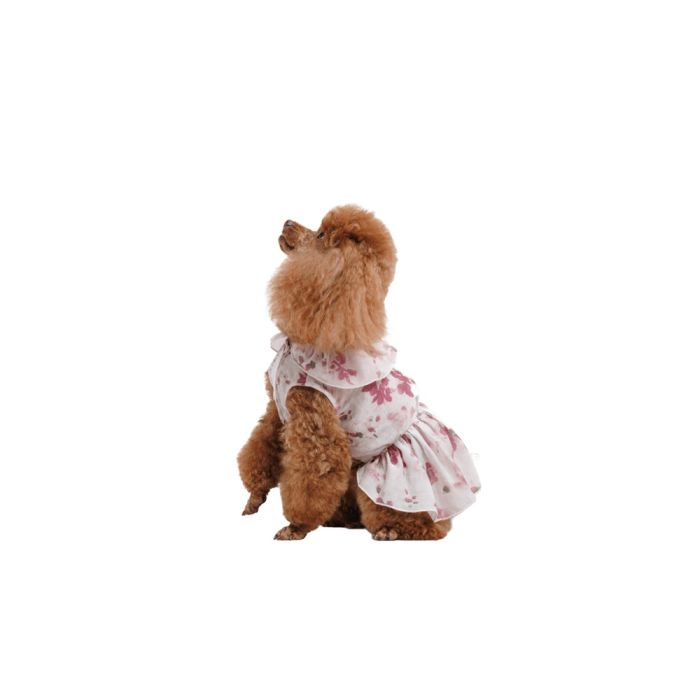 Сукня Pet Fashion Amelia для собак XXS