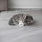 Іграшка Trixie для котів Ведмідь плюшевий з котячою м ятою 8 см  в асортименті