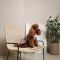 Сукня Pet Fashion Amelia для собак XS
