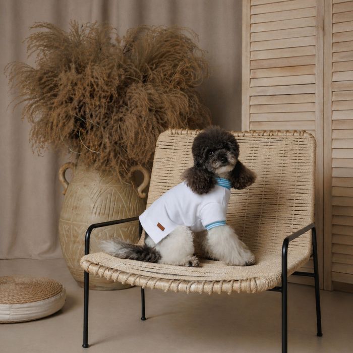 Футболка Pet Fashion Polo для собак ХXS