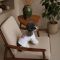Футболка Pet Fashion Ukraine для собак S