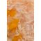 Корм вологий Savory Chicken Fillets rich in Shrimps in Jelly for Kittens філе курки з креветками в желе для кошенят, 70 г