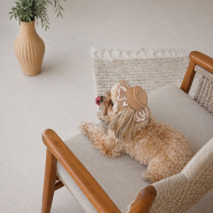 Панама  Pet Fashion Print для собак XL