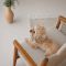 Панама  Pet Fashion Print для собак S