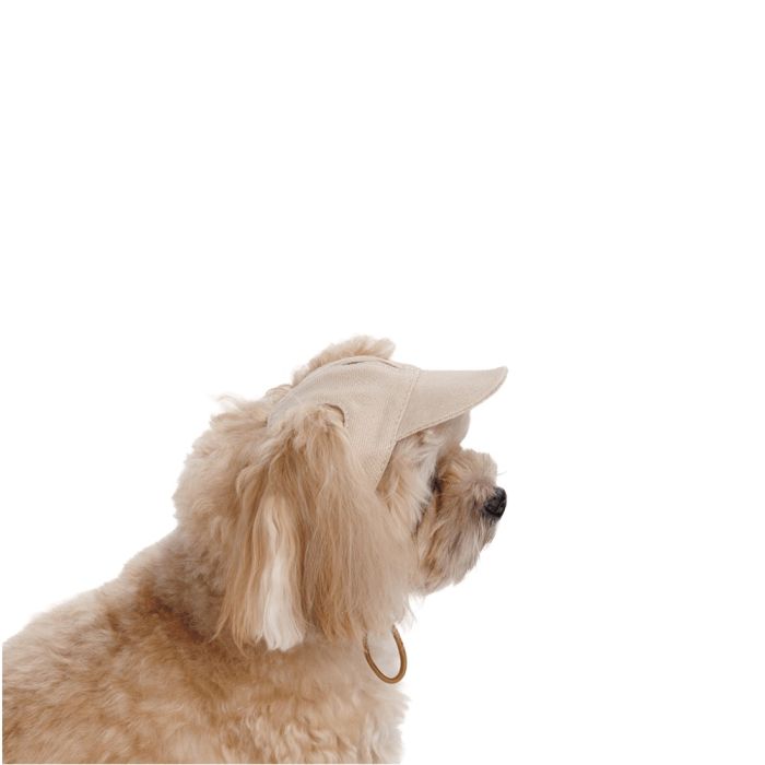 Кепка  Pet Fashion Glamor для собак S