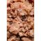 Корм вологий Savory Tuna Fillets rich in Mackerel in Jelly for Adult Cats філе тунця з макреллю в желе для дорослих котів, 7