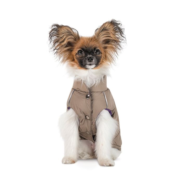 Жилет Pet Fashion Hardy для собак утеплений водонепроникний з отвором для повідця бежевий розмір M