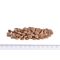 Корм сухий Brit Grain Free VetDiet Cat Hypoallergenic для котів з харчовою алергією та непереносимістю з лососем та горохом