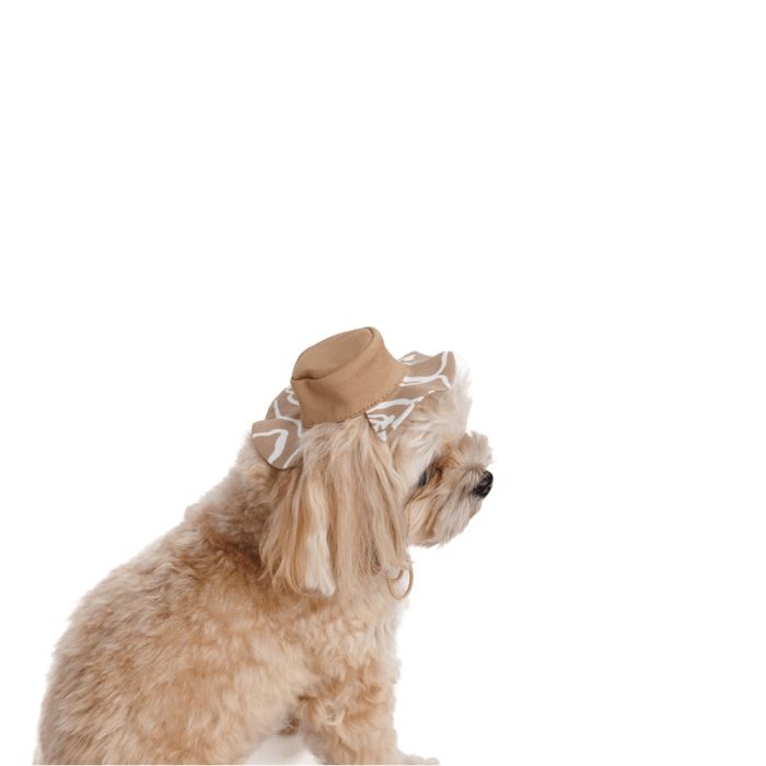 Панама  Pet Fashion Print для собак М