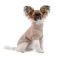 Куртка для собак Bony Pet Fashion, ХХS білий, зелений