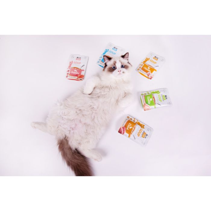 Корм вологий Brit Care Soup Turkey д/котів суп з індичкою 75 г
