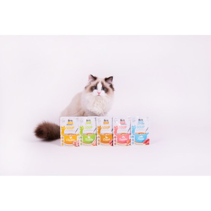 Корм вологий Brit Care Soup Turkey д/котів суп з індичкою 75 г