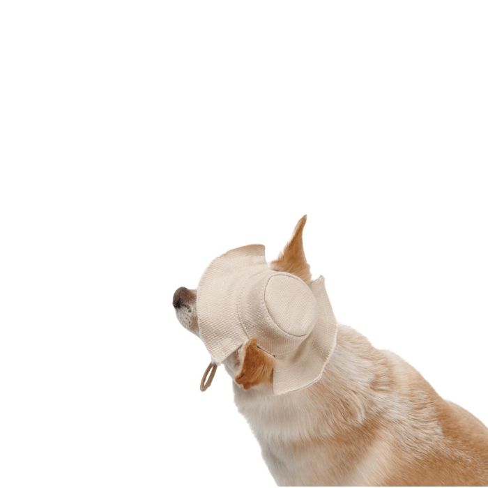 Панама  Pet Fashion Gold для собак XS