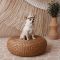 Панама  Pet Fashion Gold для собак XS